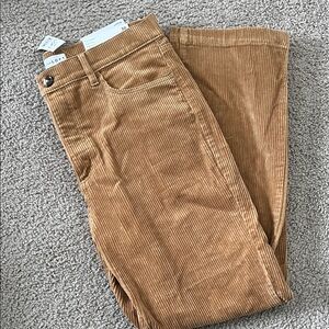 LOFT Women’s Brown/Orange  Corduroy Pants
